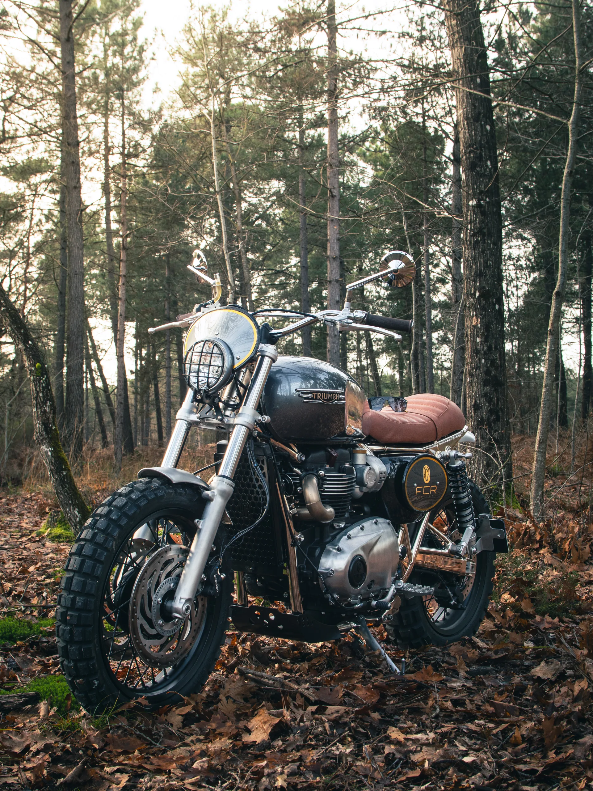 Triumph Legend FCR Original avec réservoir gris et selle camel en forêt de pins