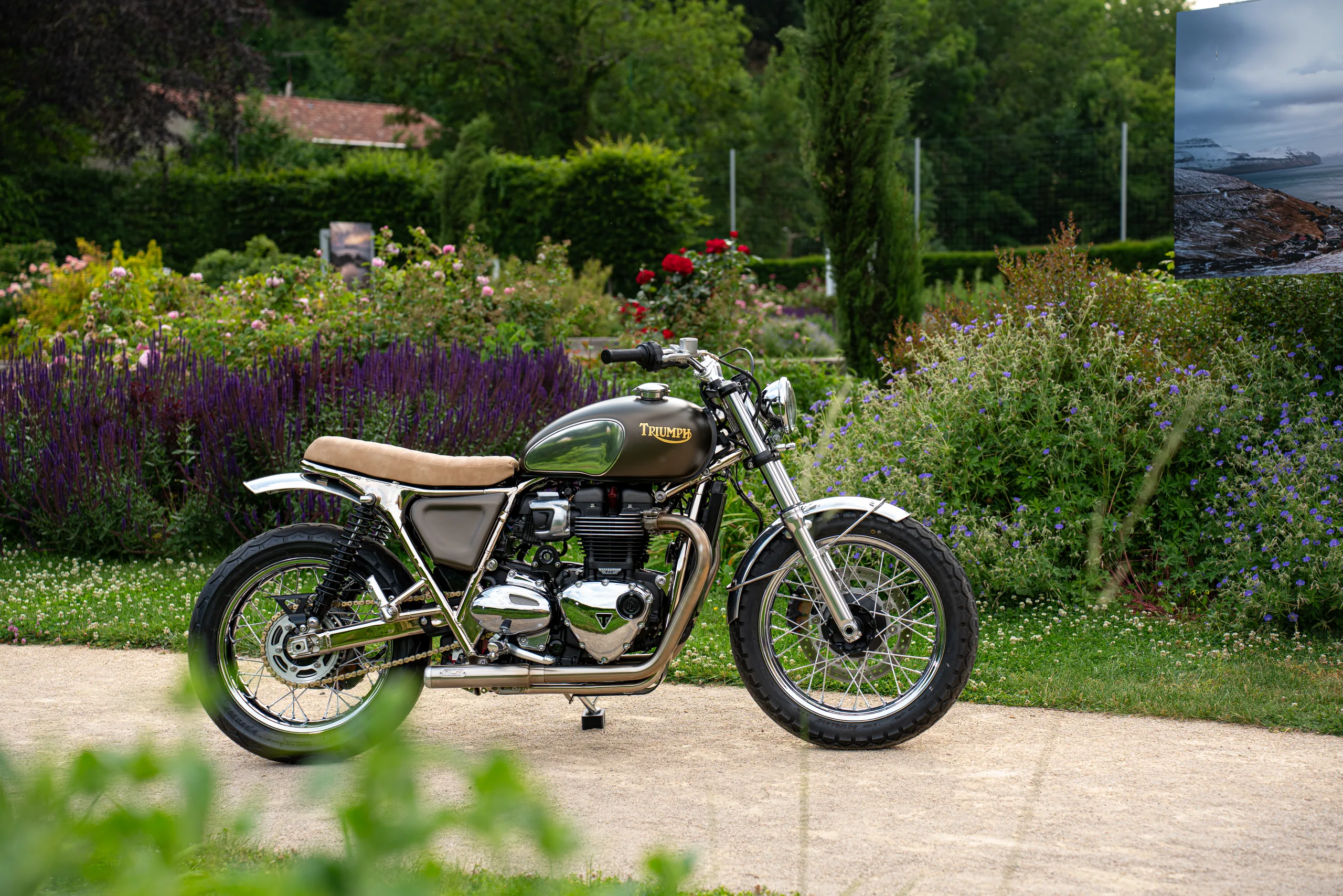 Triumph Ride & Chrome FCR Original kaki garée dans un jardin fleuri de lavande