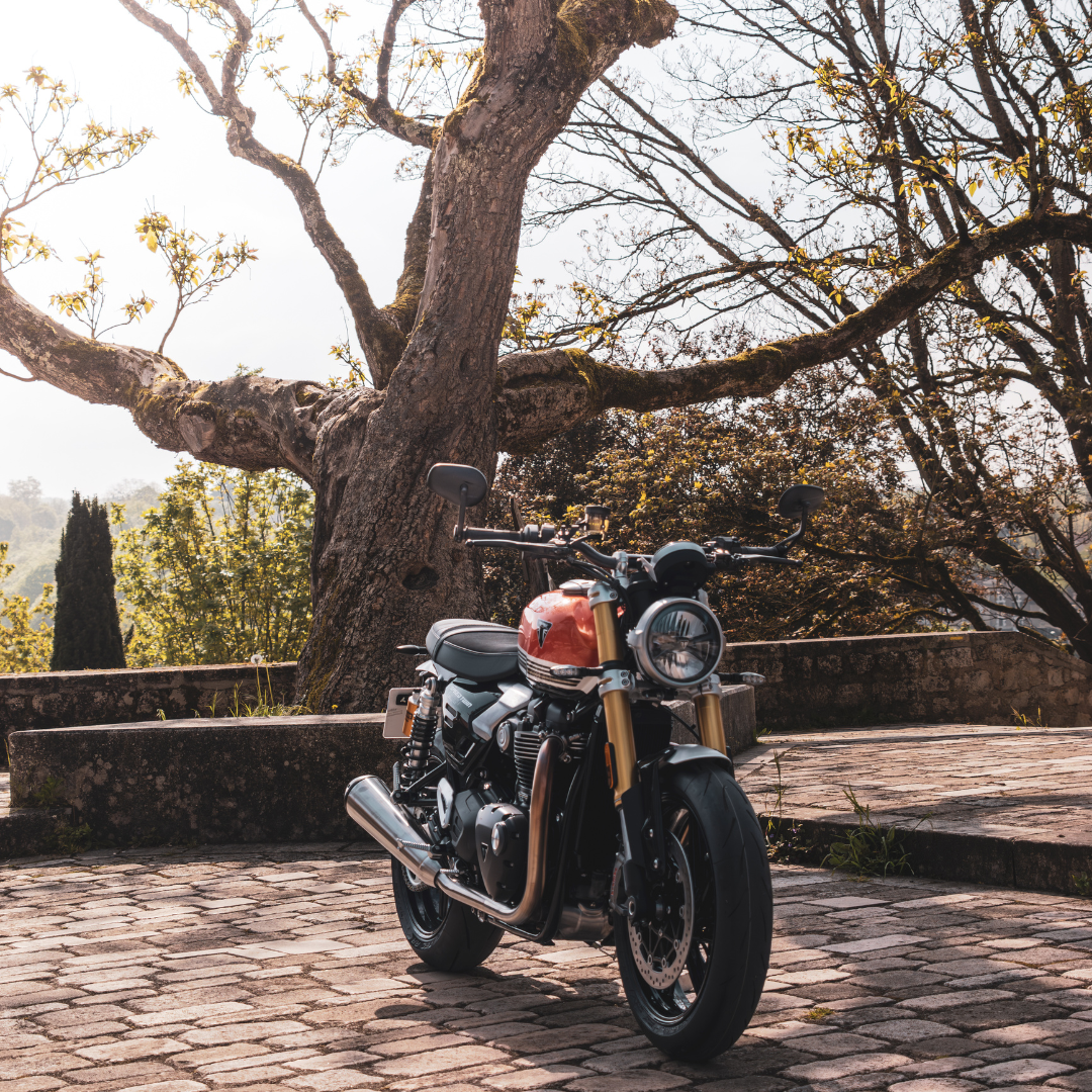Speed Twin 1200 RS Orange FCR Original Vue 3/4 Face