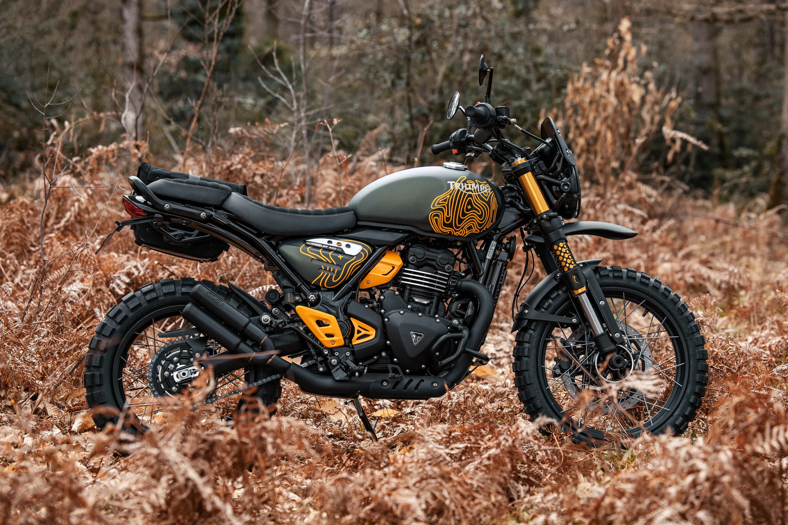 Vue de profil d'une Triumph Scrambler 400 Escape FCR Original en sous-bois automnal