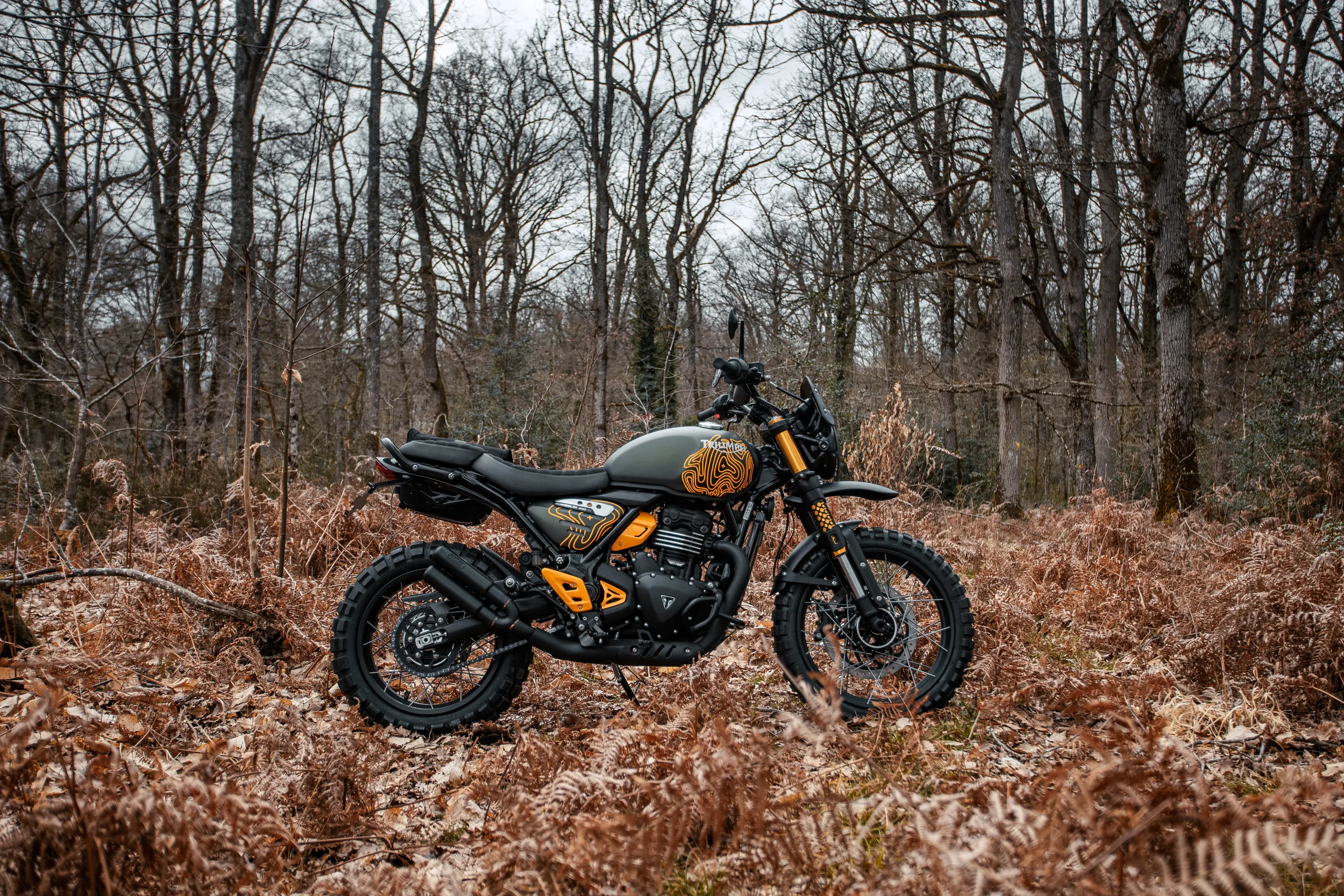 Triumph Scrambler 400 Escape FCR Original garée dans une forêt en hiver
