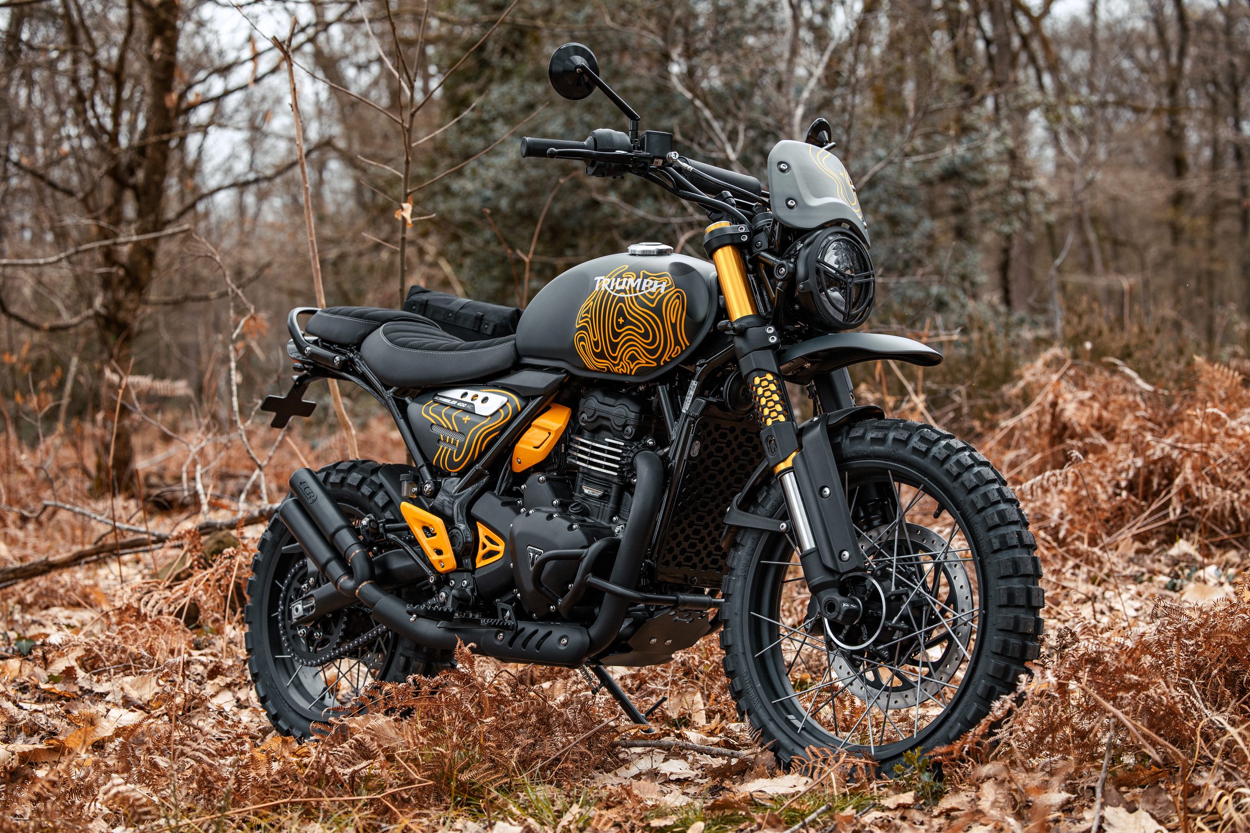 Triumph Scrambler 400 custom FCR Original en forêt, préparation A2
